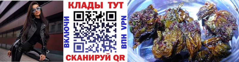 Купить закладку ГАШИШ  Cocaine  Alpha-PVP  MDMA  Мефедрон  Конопля  Городовиковск