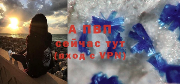 мяу мяу мука Белокуриха