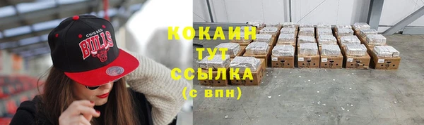 мяу мяу мука Белокуриха