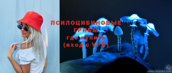 ешки Беломорск