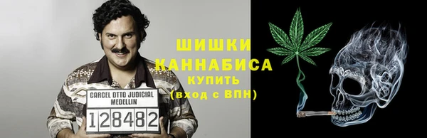 мяу мяу мука Белокуриха