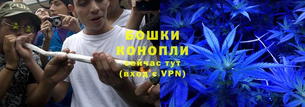 мяу мяу мука Белокуриха