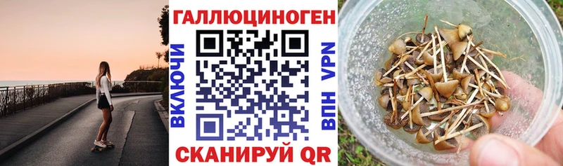Купить Городовиковск Галлюциногенные грибы Magic Shrooms