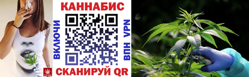 Купить  Городовиковск  МАРИХУАНА сатива 